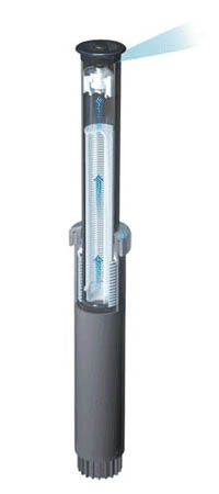 Hunter PS Spray Head