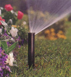Hunter PS Spray Head